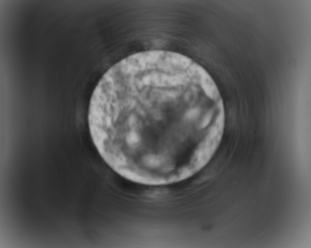 X0000088470274200706191353