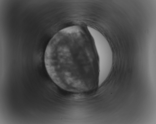 X0000088470275200706191353