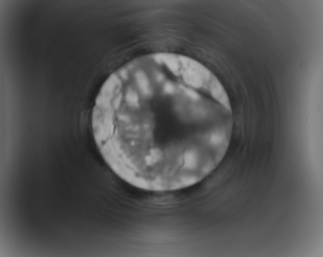 X0000088470278200706191353