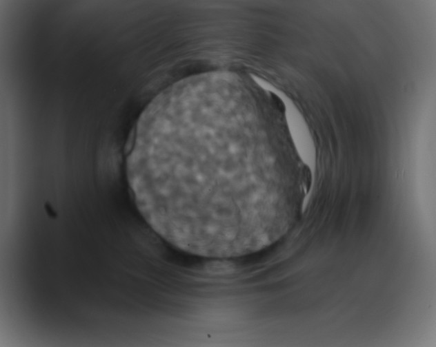X0000088470279200706191353