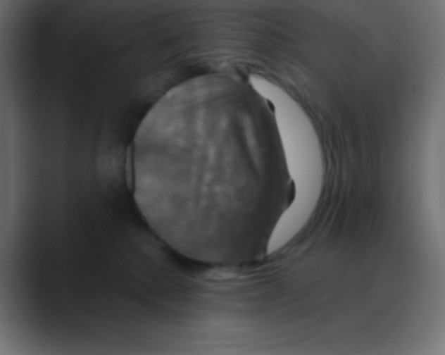 X0000088470280200706191353