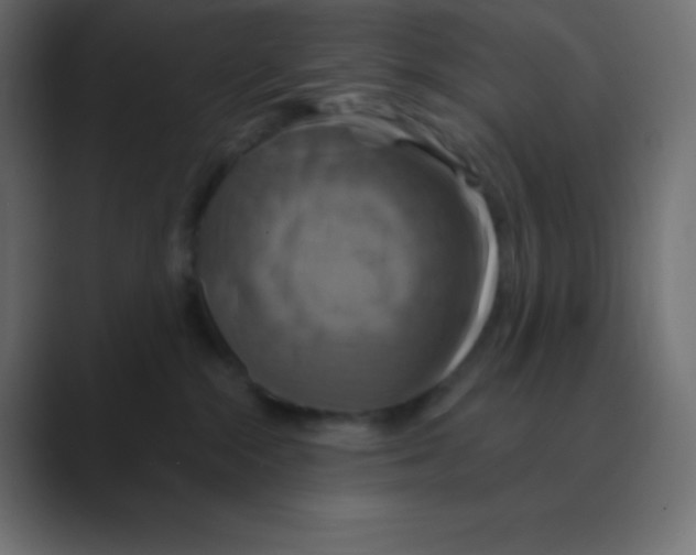 X0000088470284200706191353