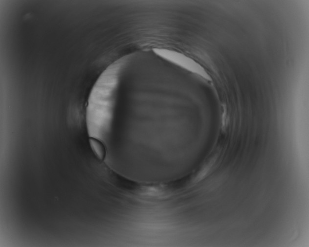 X0000088470285200706191353