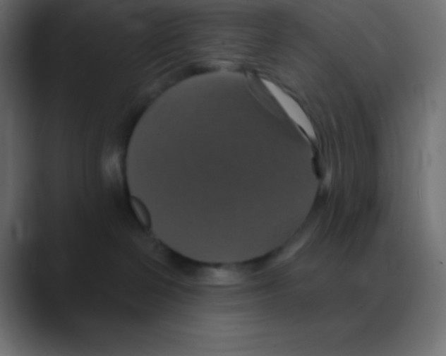 X0000088470286200706191353