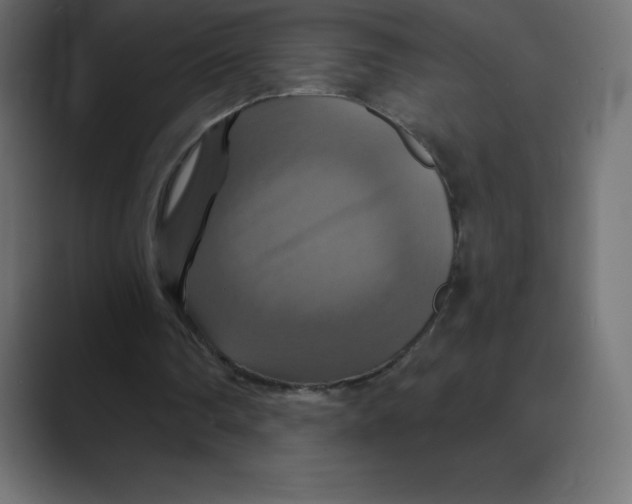 X0000088470290200706191353