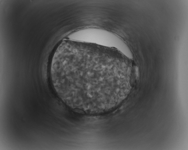 X0000088470291200706191353