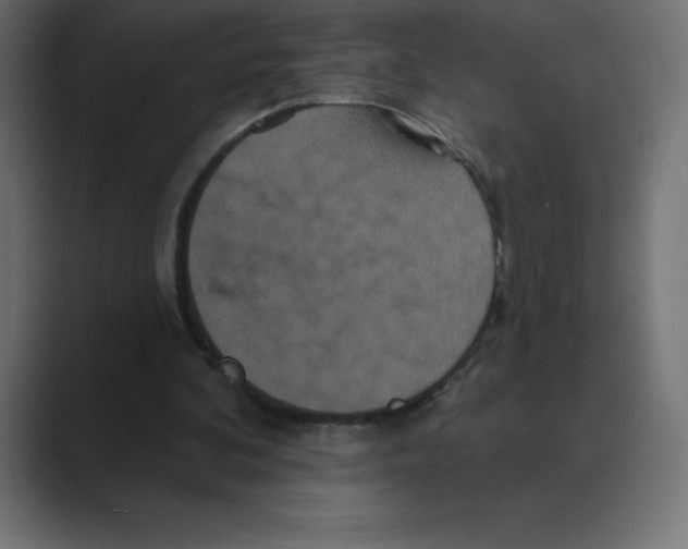 X0000088470292200706191353