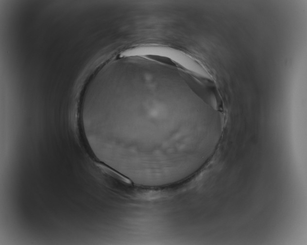 X0000088470293200706191353