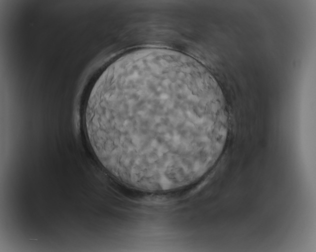 X0000088470294200706191353