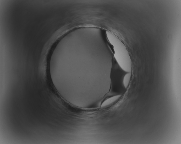 X0000088470295200706191353