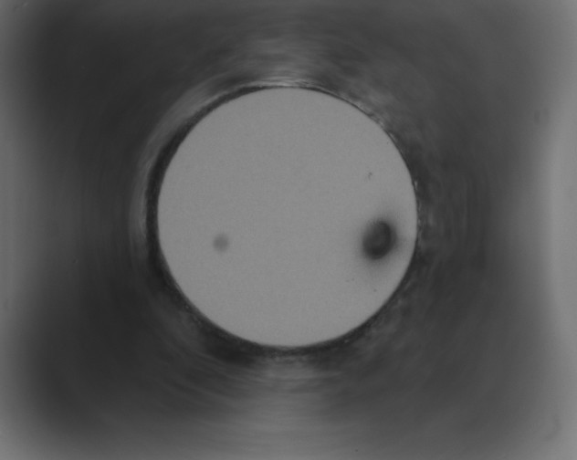 X0000088470296200706191353