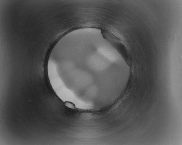 X0000088470298200706191353
