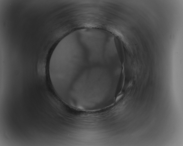 X0000088470299200706191353