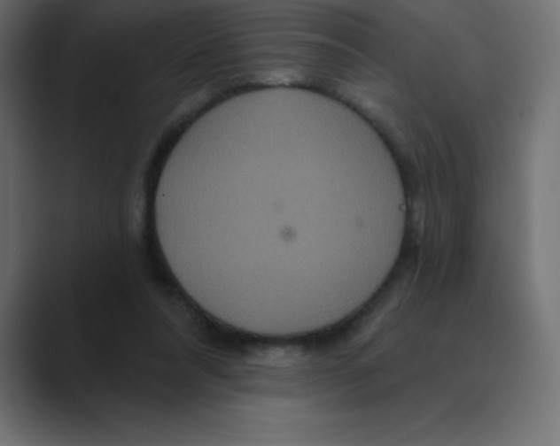 X0000088470304200706191353