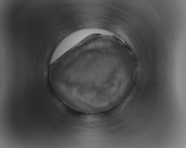 X0000088470305200706191353