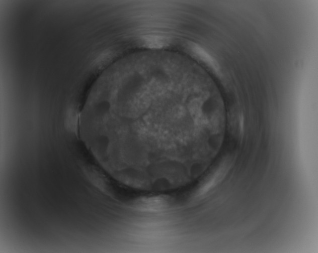 X0000088470307200706191353