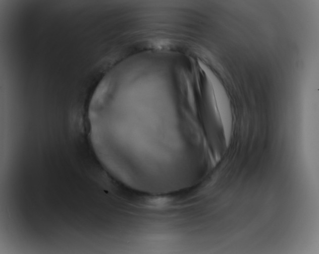 X0000088470313200706191353