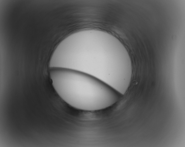 X0000088470325200706191352