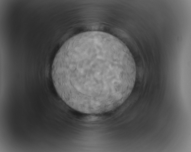 X0000088470326200706191352