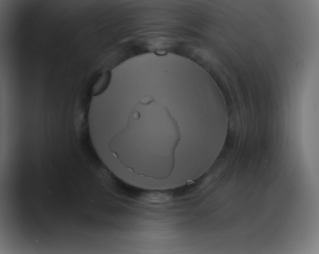 X0000088470327200706191352