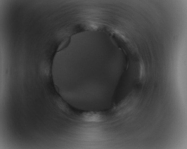 X0000088470331200706191352