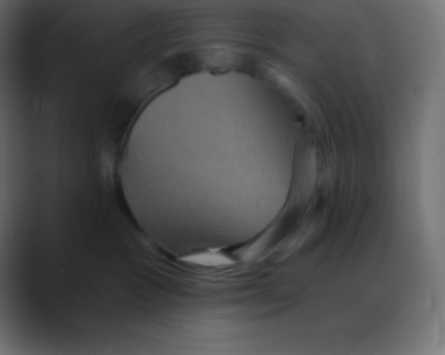 X0000088470333200706191352