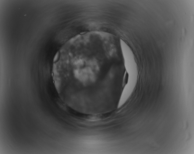X0000088470335200706191352