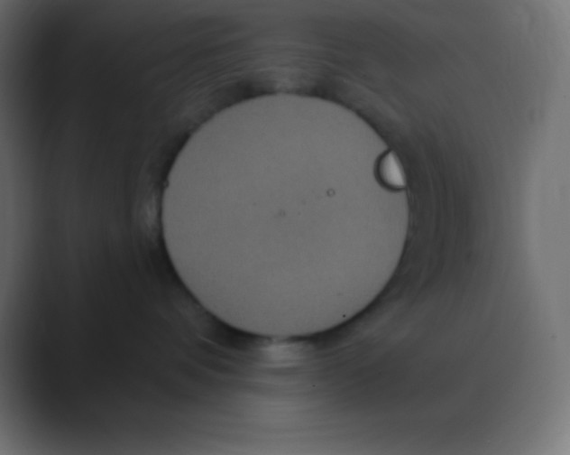 X0000088470336200706191352
