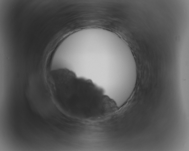 X0000088470339200706191352