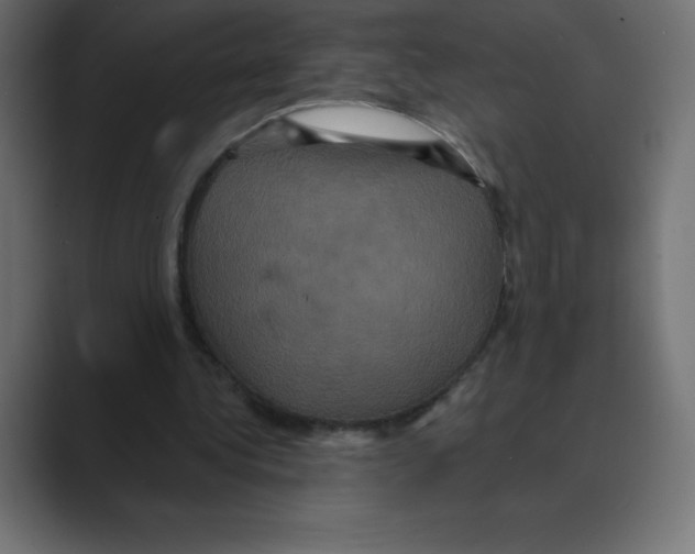 X0000088470340200706191352