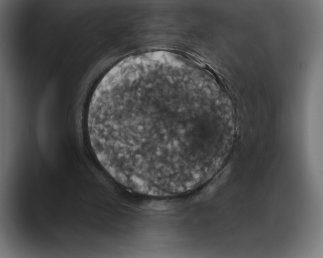 X0000088470341200706191352