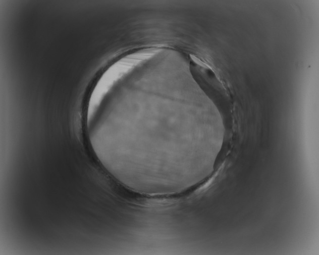X0000088470342200706191352