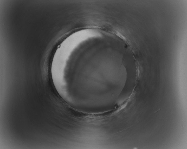 X0000088470343200706191352