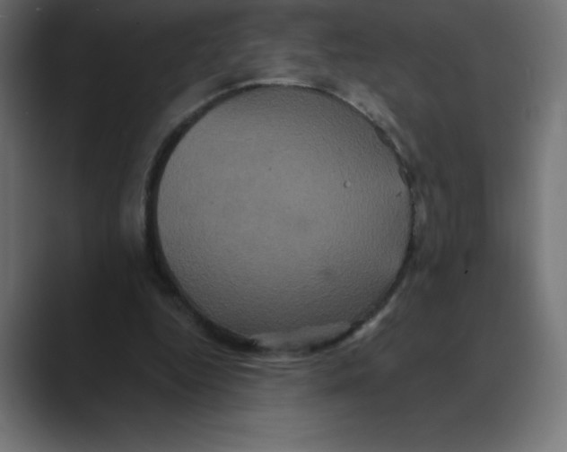X0000088470344200706191352