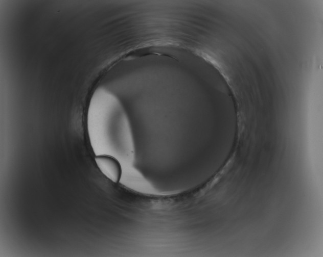 X0000088470345200706191352