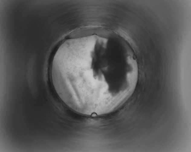 X0000088470346200706191352
