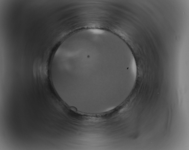X0000088470347200706191352