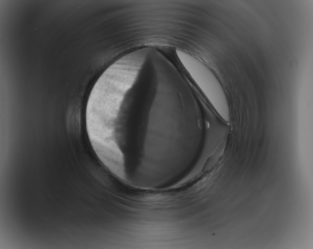 X0000088470349200706191352