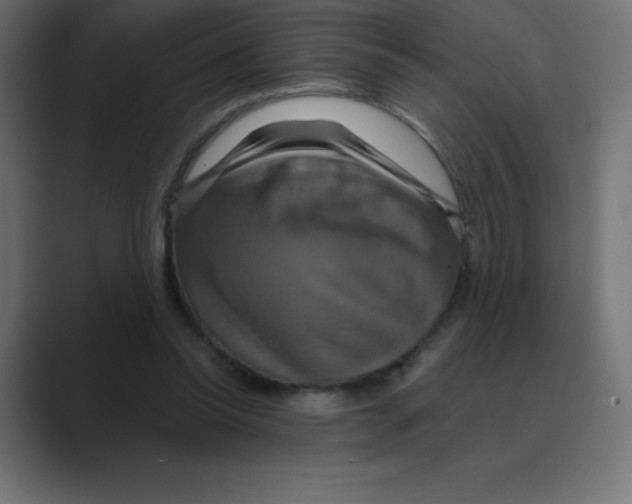 X0000088470350200706191352