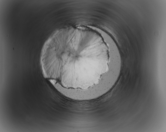 X0000088470353200706191352