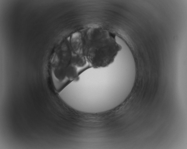 X0000088470354200706191352
