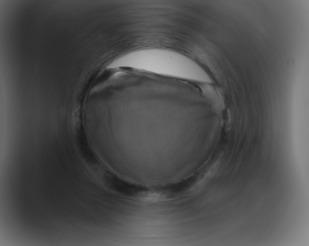 X0000088470356200706191352