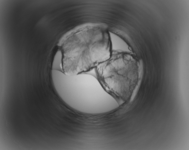 X0000088470357200706191352