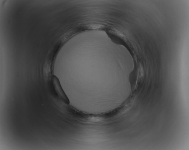 X0000088470360200706191352