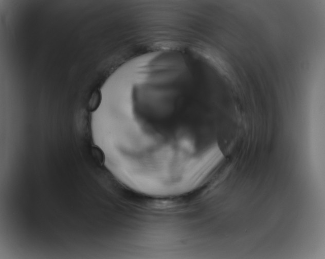 X0000088470361200706191352