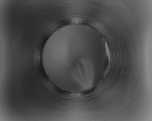 X0000088470363200706191352