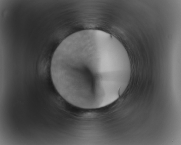X0000088470364200706191352