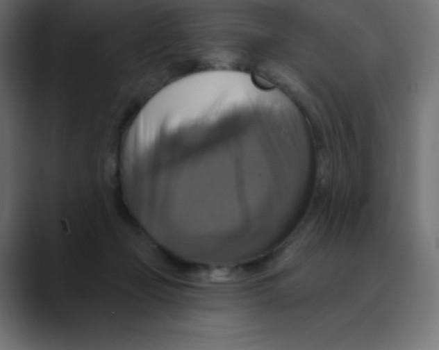 X0000088470365200706191352