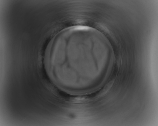 X0000088470366200706191352