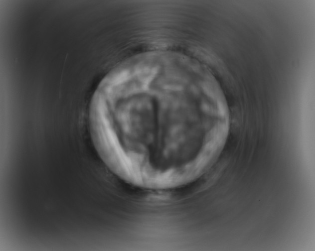 X0000088470369200706191352